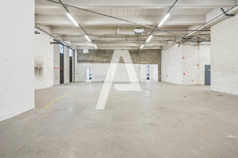 REXIM - Entrepôt - Rungis - 5