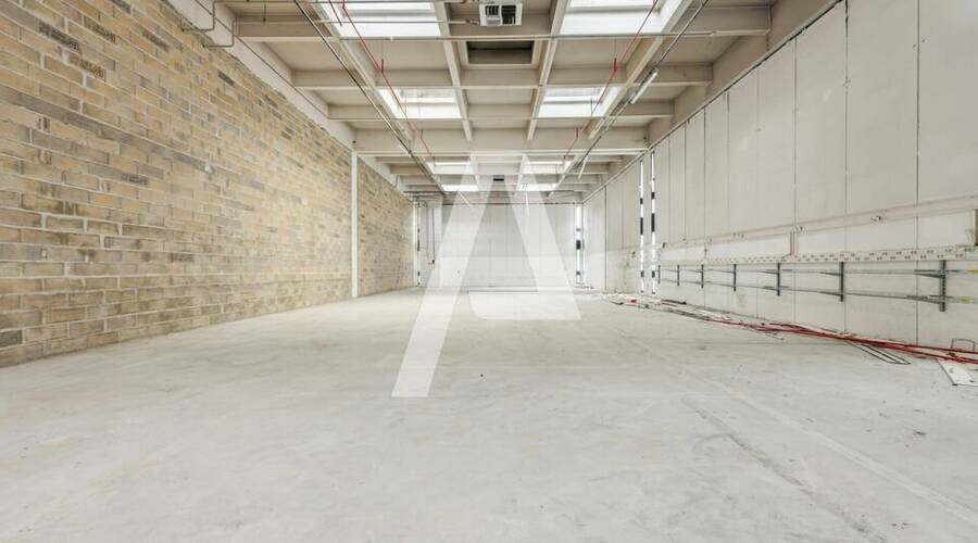 REXIM - Entrepôt - Rungis - 8