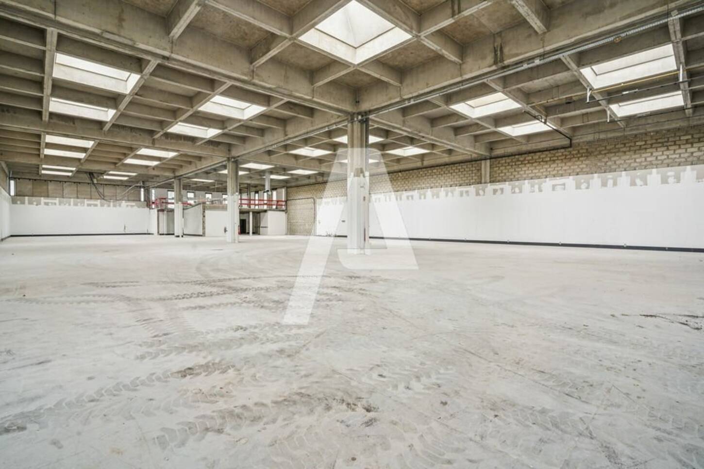 REXIM - Entrepôt - Rungis - 2