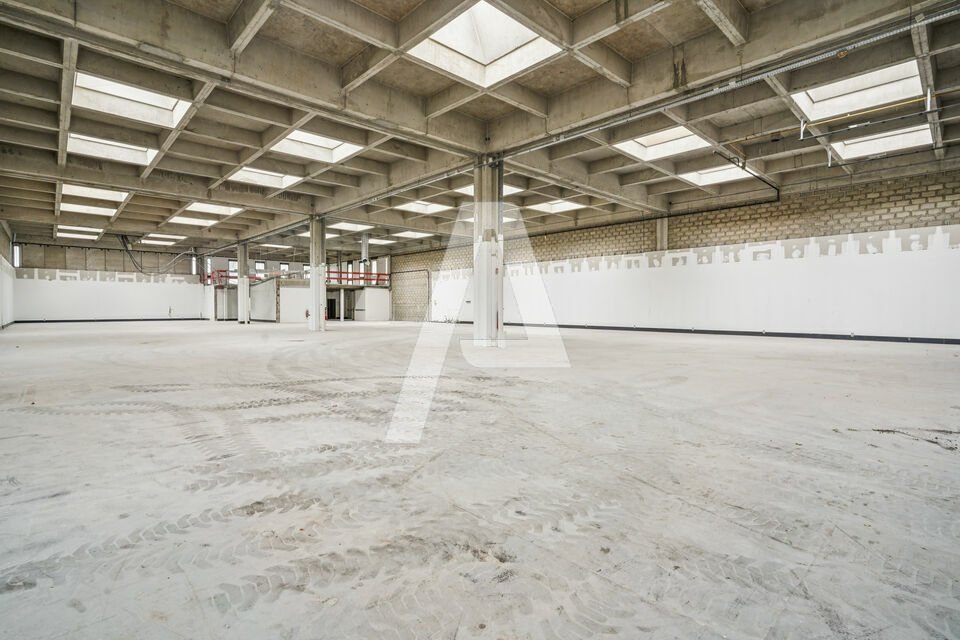 REXIM - Entrepôt - Rungis - 2