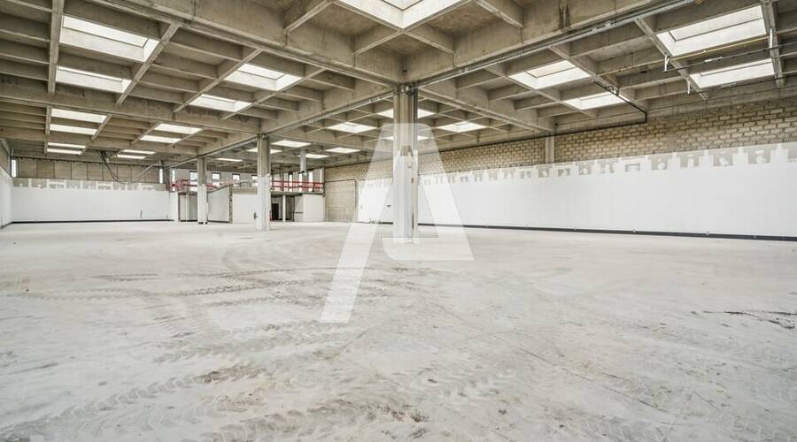 REXIM - Entrepôt - Rungis - 2