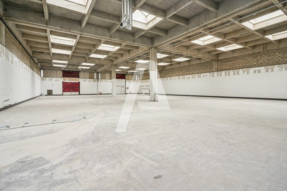 REXIM - Entrepôt - Rungis - 3