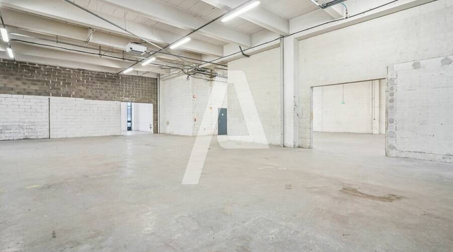 REXIM - Entrepôt - Rungis - 4