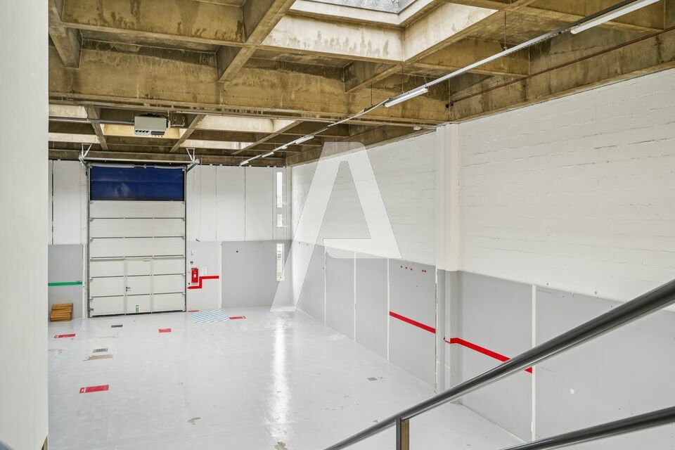 REXIM - Entrepôt - Rungis - 5