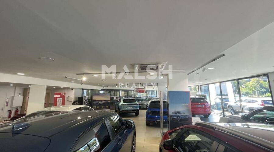 REXIM - Local d'activités - Rhône - Tassin-la-Demi-Lune - 12