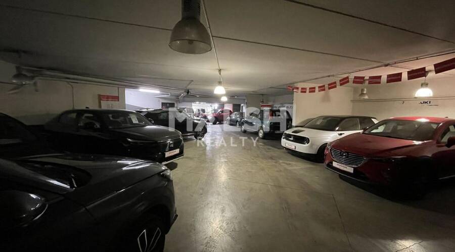 REXIM - Local d'activités - Rhône - Tassin-la-Demi-Lune - 14