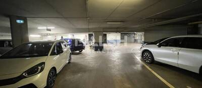 REXIM - Local d'activités - Rhône - Tassin-la-Demi-Lune - 15