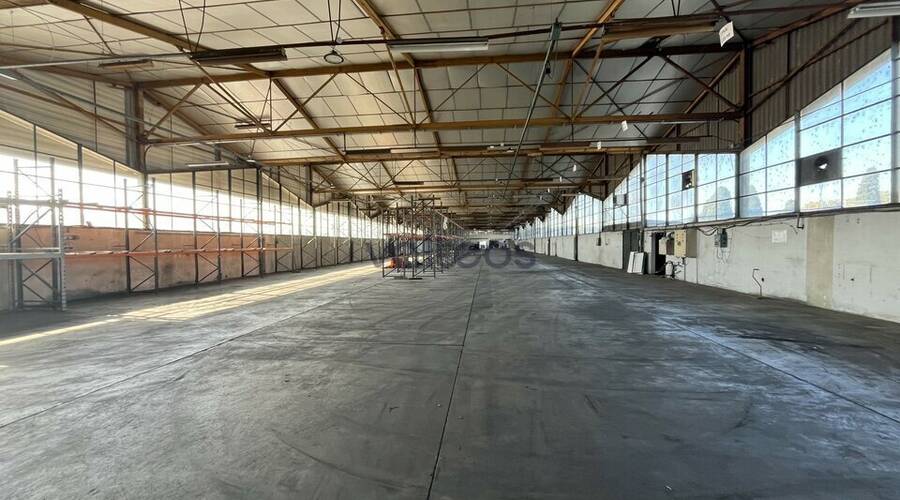 REXIM - Local d'activités - Haute-Garonne - Portet-sur-Garonne - 3