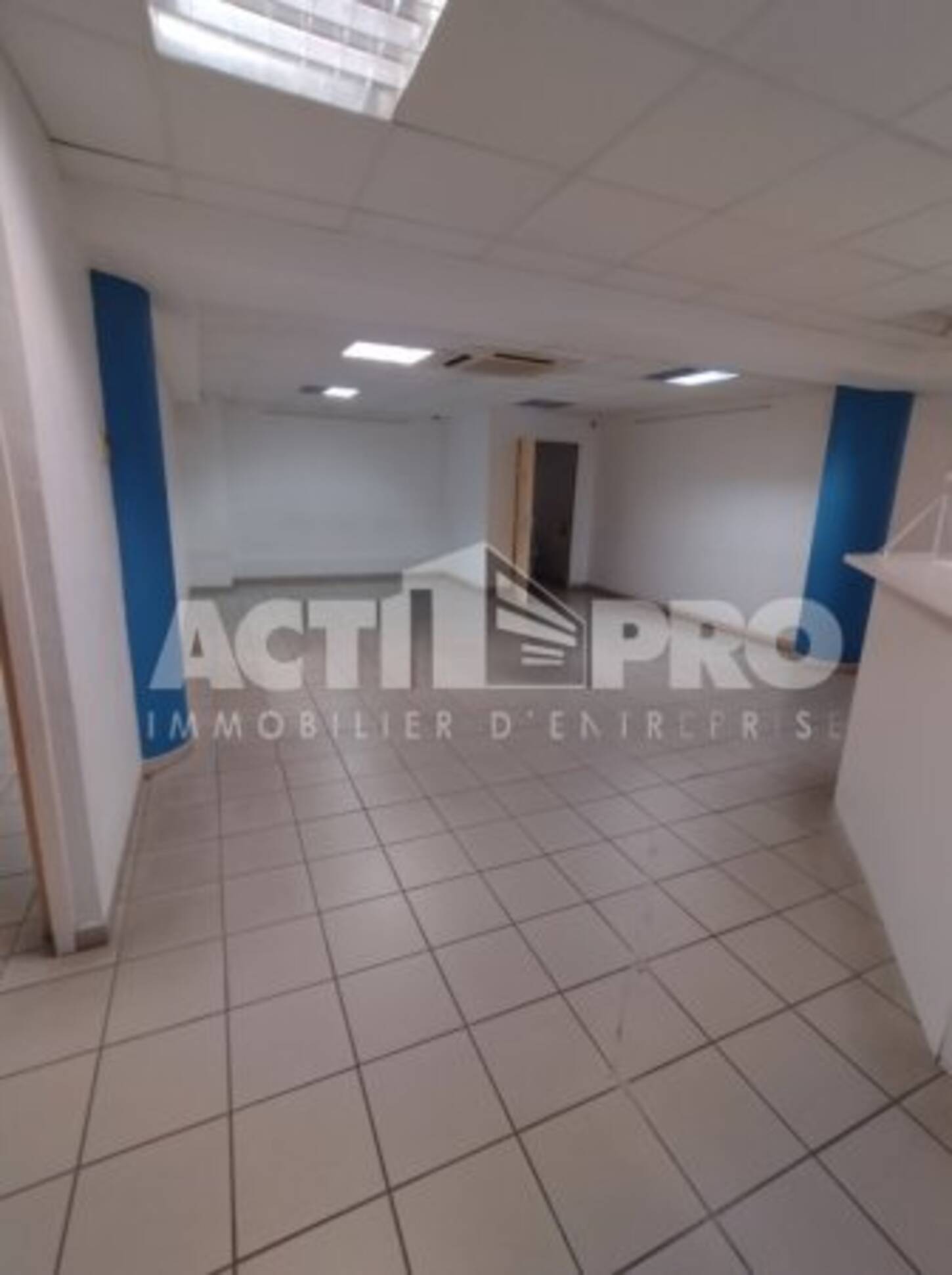 REXIM - Bureau - Pyrénées-Orientales - Perpignan - 2