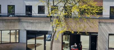 REXIM - Local d'activités - Massy - 10