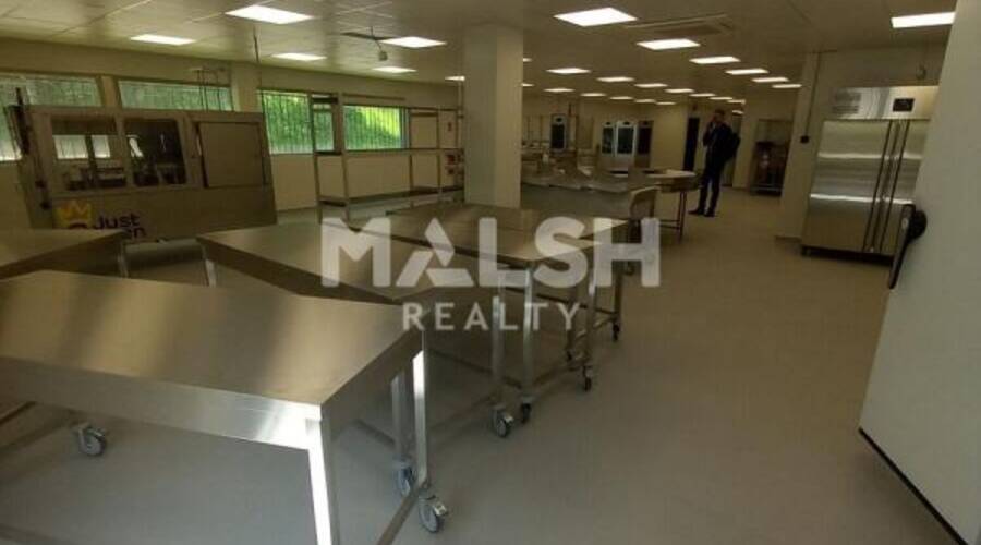 REXIM - Local d'activités - Loire - Saint-Étienne - 6