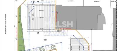 REXIM - Local d'activités - Rhône - Villefranche-sur-Saône - 4
