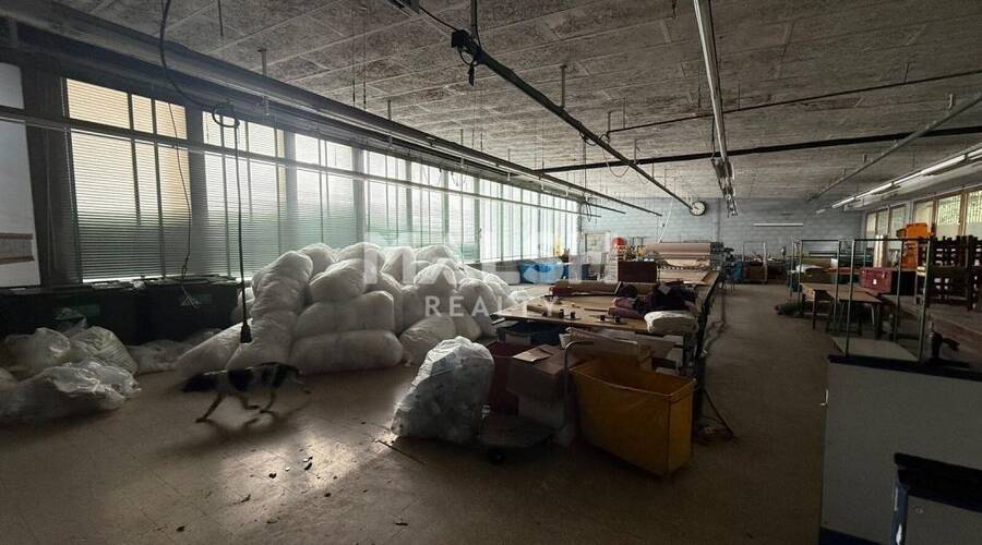 REXIM - Local d'activités - Saône-et-Loire - Chauffailles - 11