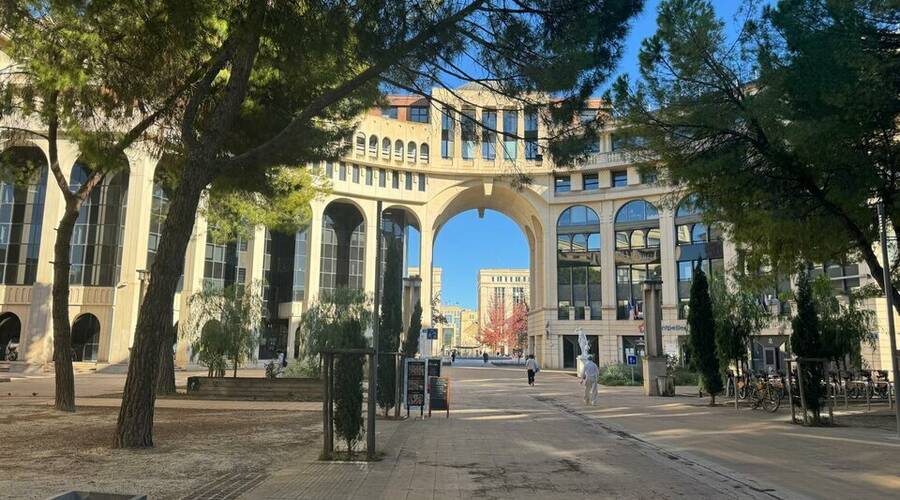 REXIM - Local commercial - Hérault - Montpellier - 1