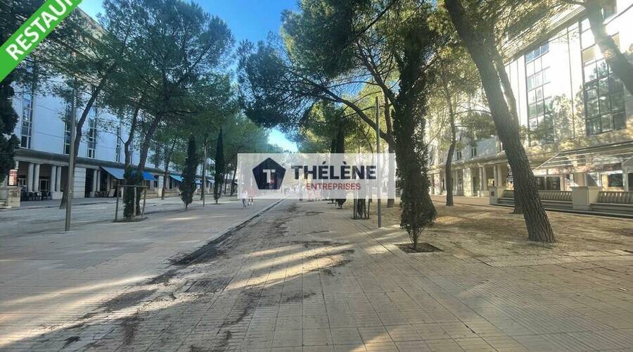 REXIM - Local commercial - Hérault - Montpellier - 3