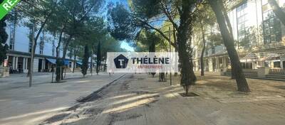 REXIM - Local commercial - Hérault - Montpellier - 2