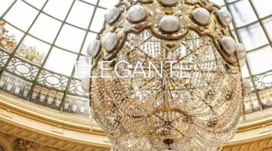 REXIM - Terrain - Allier - Charmeil - 4