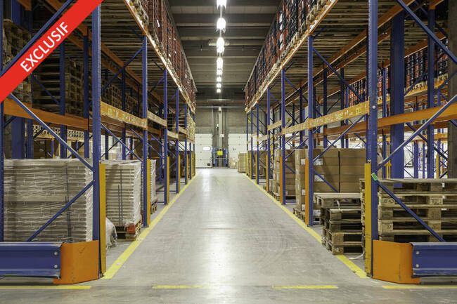 REXIM - Entrepôt - Collégien - 1