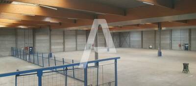 REXIM - Entrepôt - Saint-Thibault-des-Vignes - 7