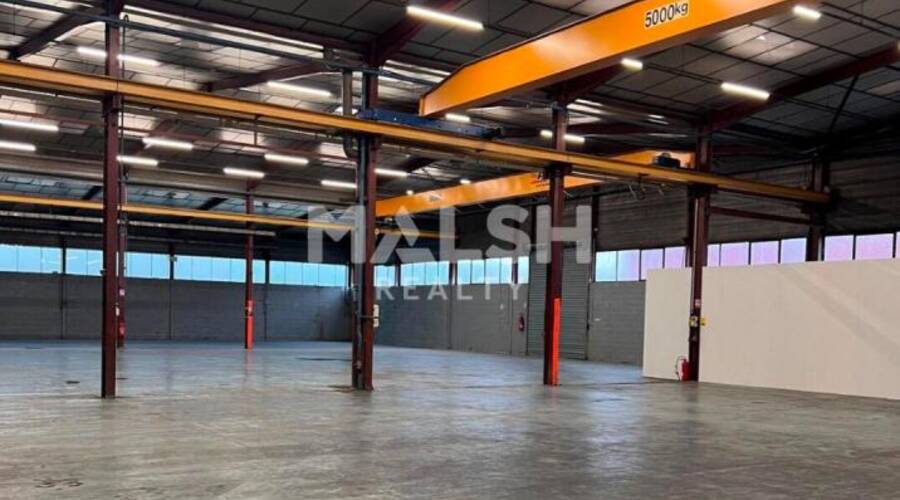 REXIM - Local d'activités - Rhône - Vaulx-en-Velin - 3