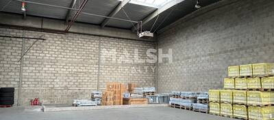 REXIM - Local d'activités - Rhône - Chassieu - 2