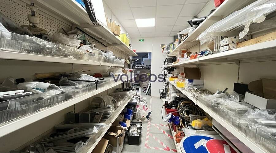 REXIM - Local d'activités - Haute-Garonne - Quint-Fonsegrives - 8