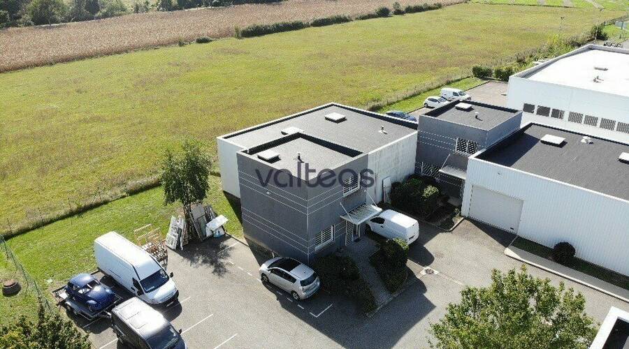 REXIM - Local d'activités - Haute-Garonne - Quint-Fonsegrives - 1