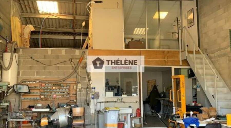 REXIM - Local d'activités - Hérault - Castelnau-le-Lez - 3