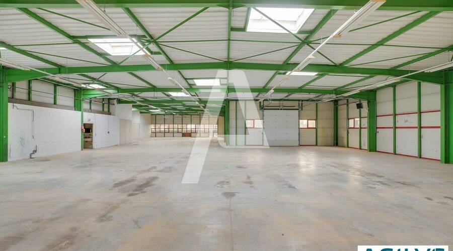 REXIM - Entrepôt - Saint-Thibault-des-Vignes - 2