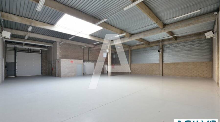 REXIM - Entrepôt - Saint-Thibault-des-Vignes - 5