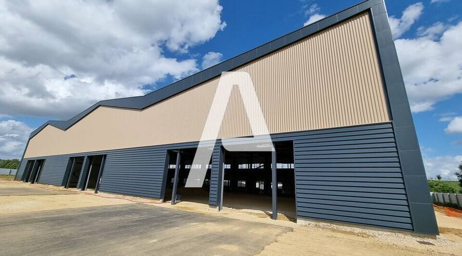 REXIM - Entrepôt - Moissy-Cramayel - 10