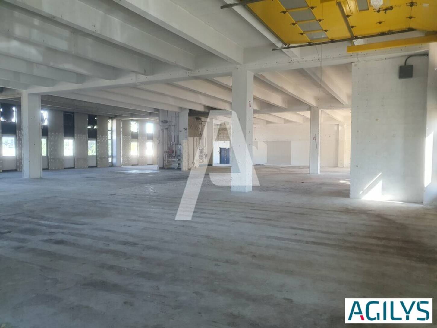 REXIM - Entrepôt - Rungis - 2