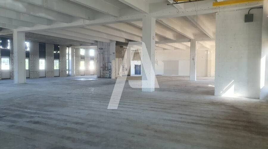 REXIM - Entrepôt - Rungis - 2