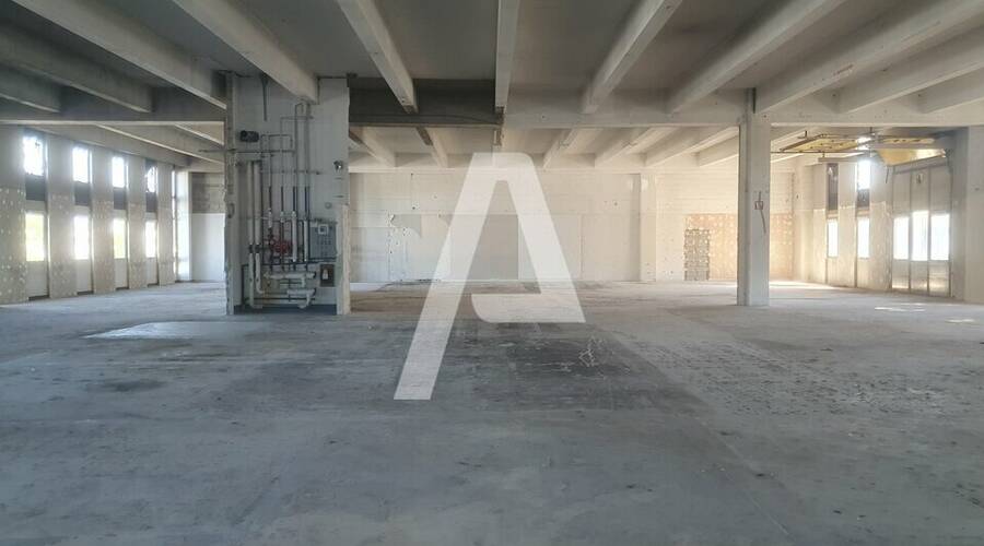 REXIM - Entrepôt - Rungis - 3