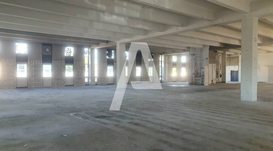 REXIM - Entrepôt - Rungis - 5