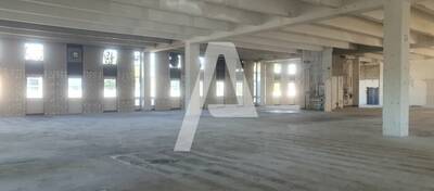 REXIM - Entrepôt - Rungis - 5