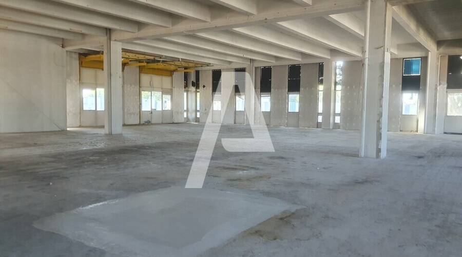 REXIM - Entrepôt - Rungis - 6