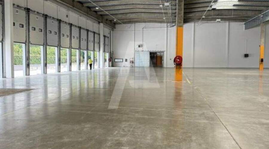 REXIM - Entrepôt - Lisses - 3