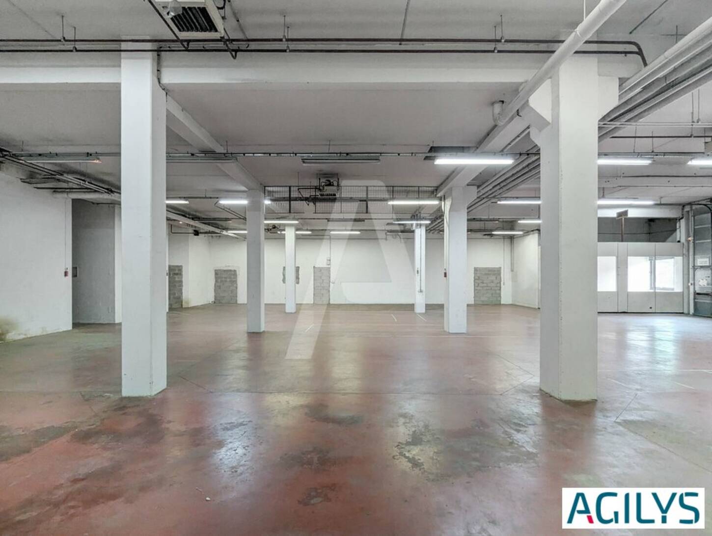 REXIM - Local d'activités - Lisses - 2