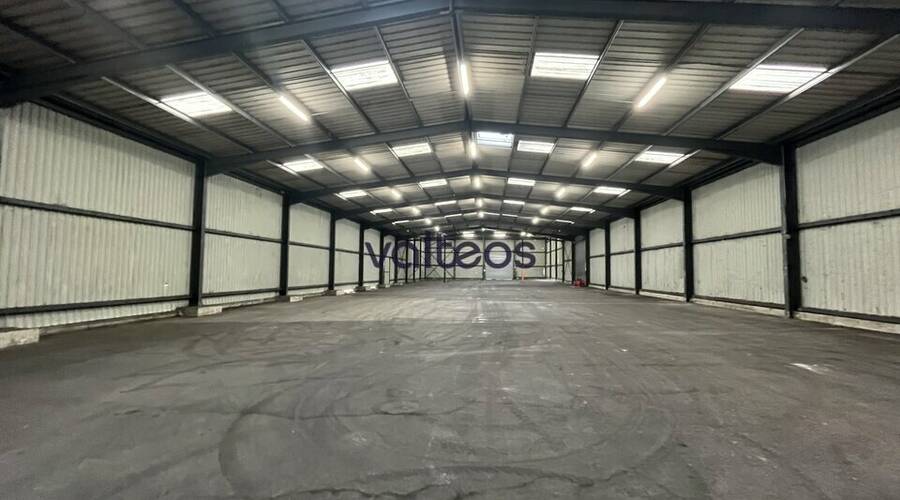 REXIM - Local d'activités - Haute-Garonne - Toulouse - 4