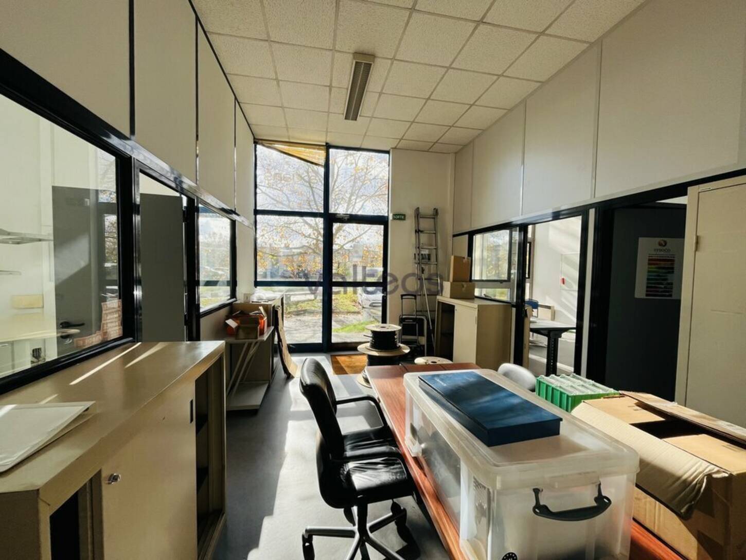 REXIM - Bureau - Haute-Garonne - Labège - 2