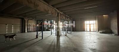 REXIM - Local d'activités - Rhône - Anse - 5