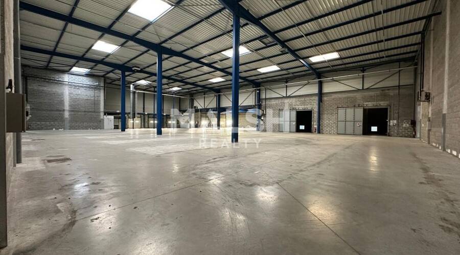 REXIM - Local d'activités - Ain - Miribel - 9