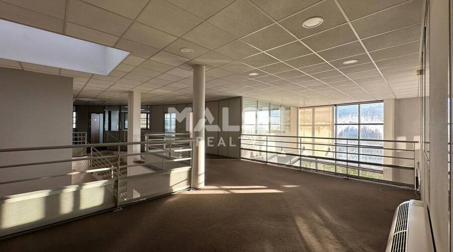 REXIM - Local d'activités - Ain - Miribel - 10