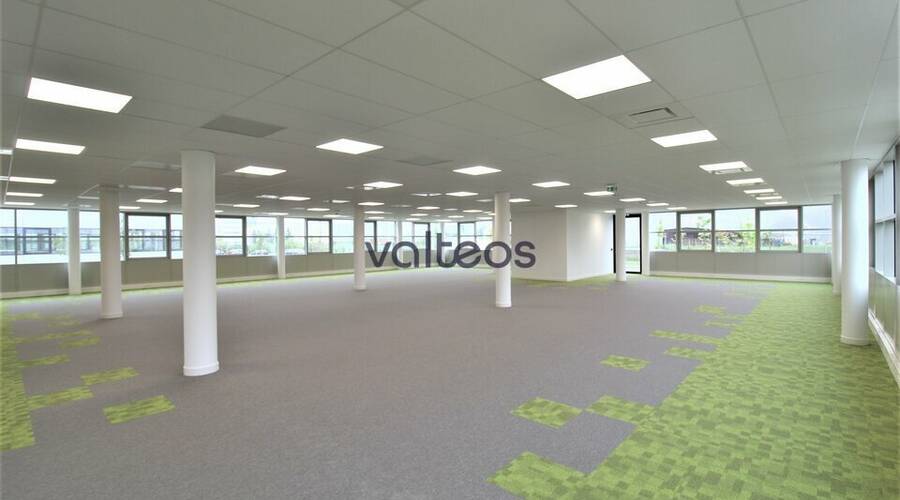 REXIM - Bureau - Haute-Garonne - Toulouse - 2