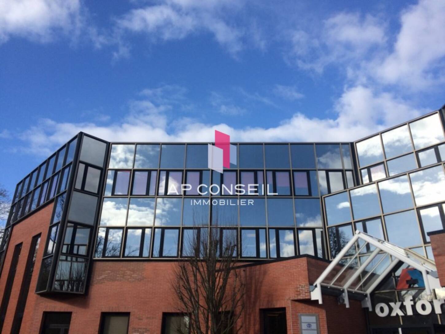 REXIM - Bureau - Yvelines - Montigny-le-Bretonneux - 2