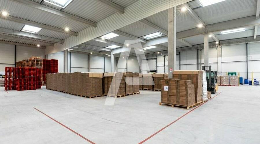 REXIM - Entrepôt - Noiseau - 4