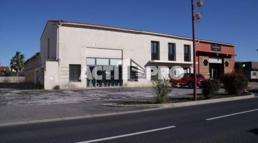REXIM - Local d'activités - Pyrénées-Orientales - Perpignan - 1