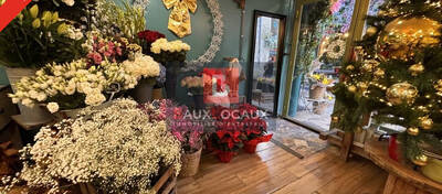 REXIM - Local commercial - Vaucluse - Avignon - 3