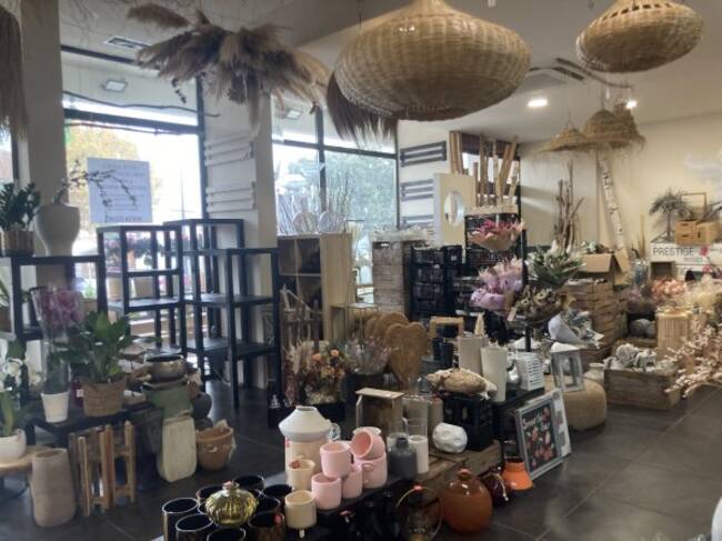 REXIM - Local d'activités - Pyrénées-Orientales - Cabestany - 1